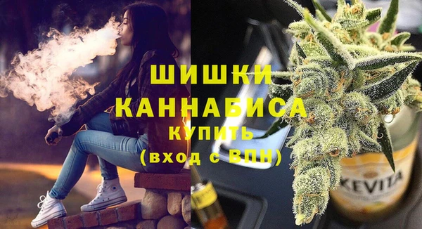 гидропоника Горнозаводск