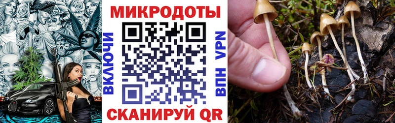 Псилоцибиновые грибы Psilocybine cubensis  Осинники 